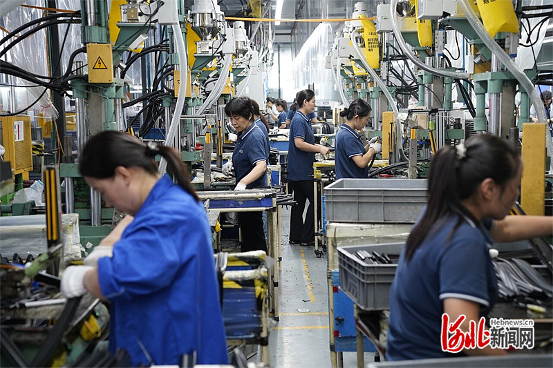 新闻纵深·县域特色产业新力量｜牵手知名车企零部件制造换挡升级